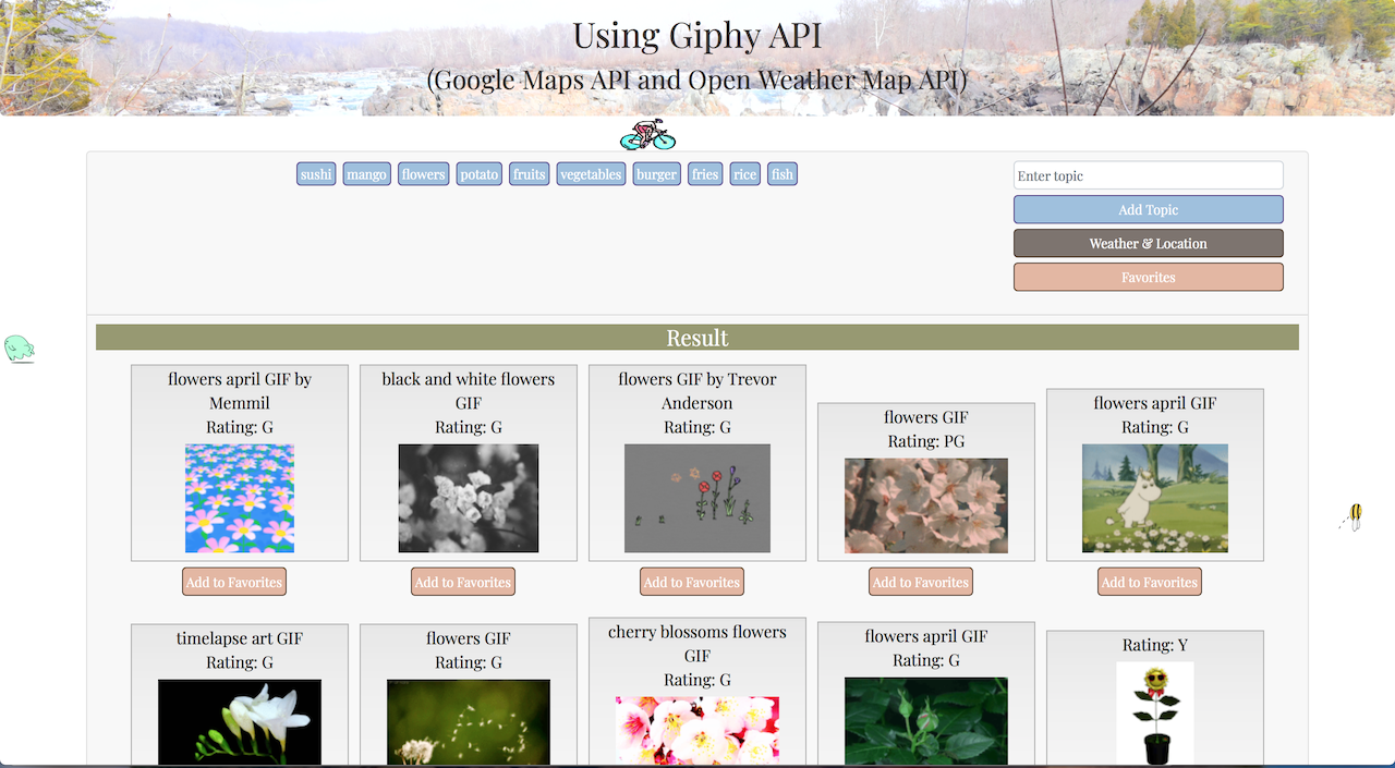 Giphy API